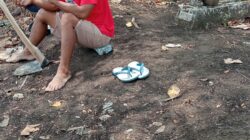 Ceker Tambang Galian C Turut Desa Sembung dan Bangle – Lamongan Bersifat Arogan